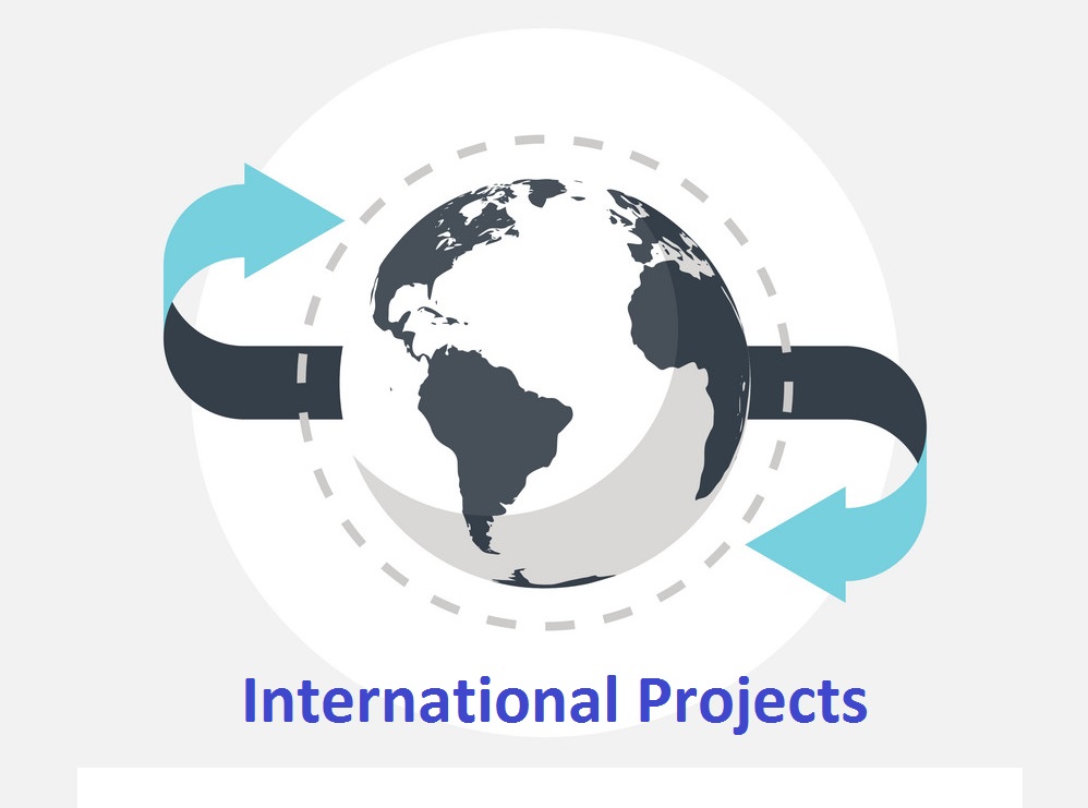 International Projects